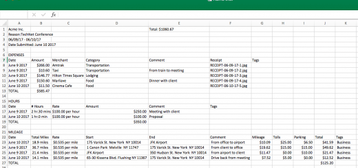 Falcon Expense Report Template for Excel