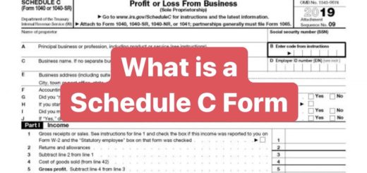 What is a an IRS Schedule C form?