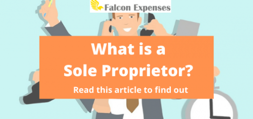 What is a sole proprietor?